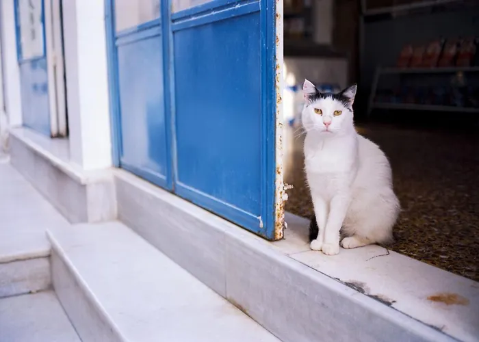 Premium Naxos Family With Private Balcony Modern Furnishing Naxos City