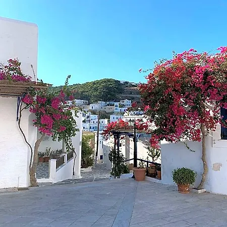 ヴィラ Premium Naxos Family With Private Balcony Modern Furnishing